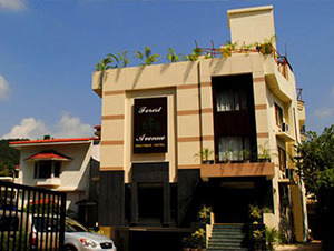 Hotel Forest Avenue, Dehradun