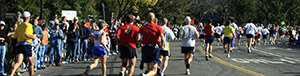 Dehradun Marathon 2017